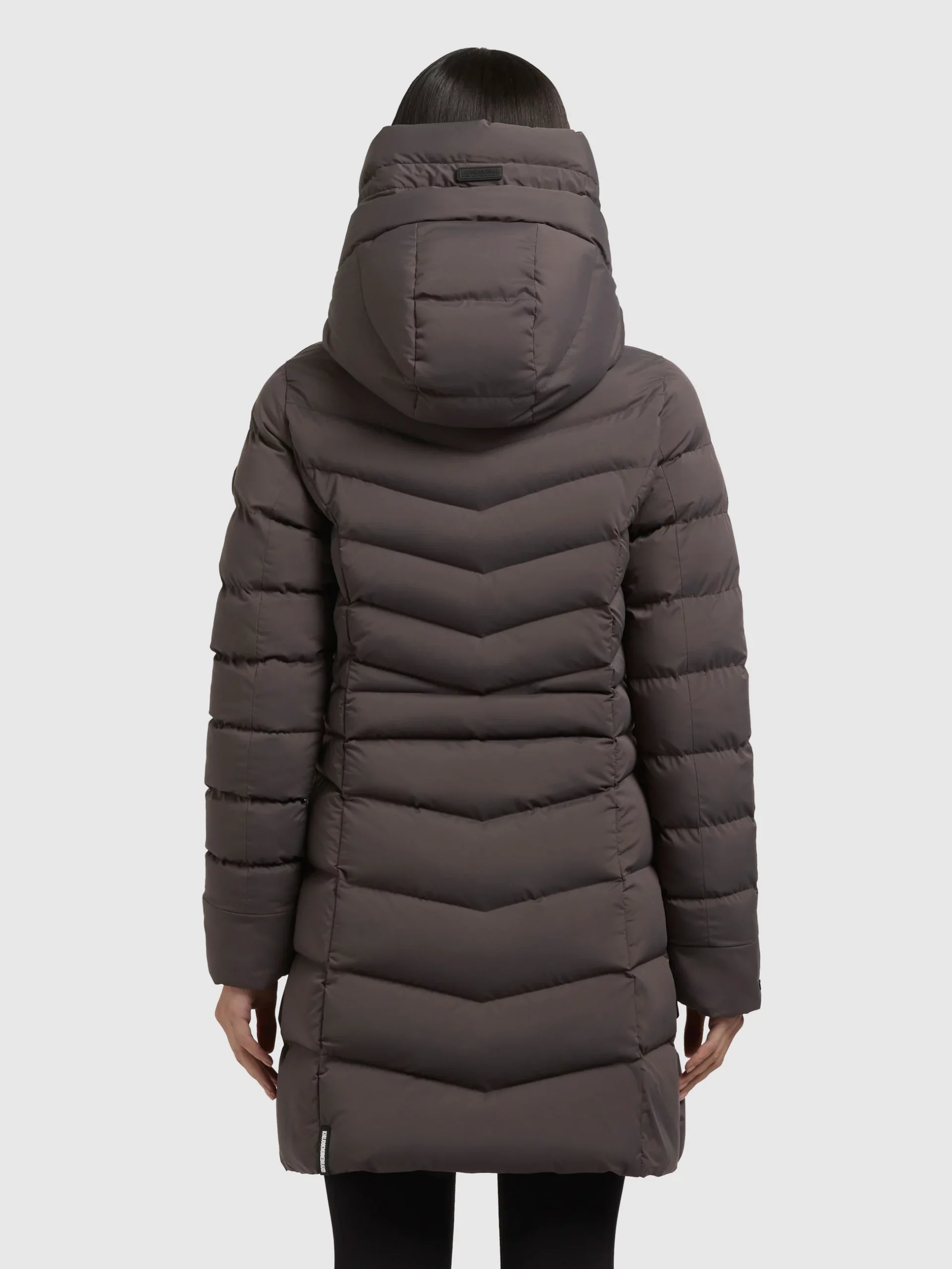 1366582-bc07783428853