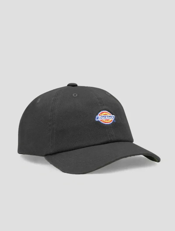 Gorra Hardwick - DICKIES