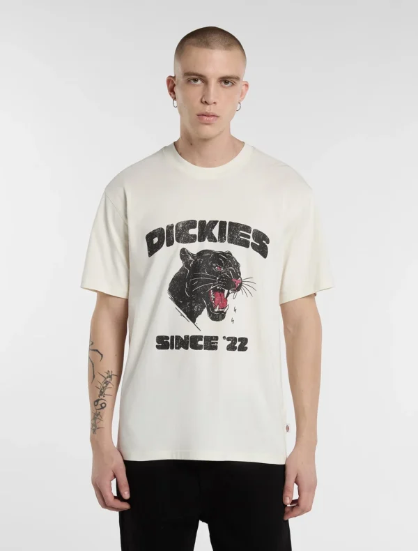 Camiseta de peso medio McDermitt - DICKIES