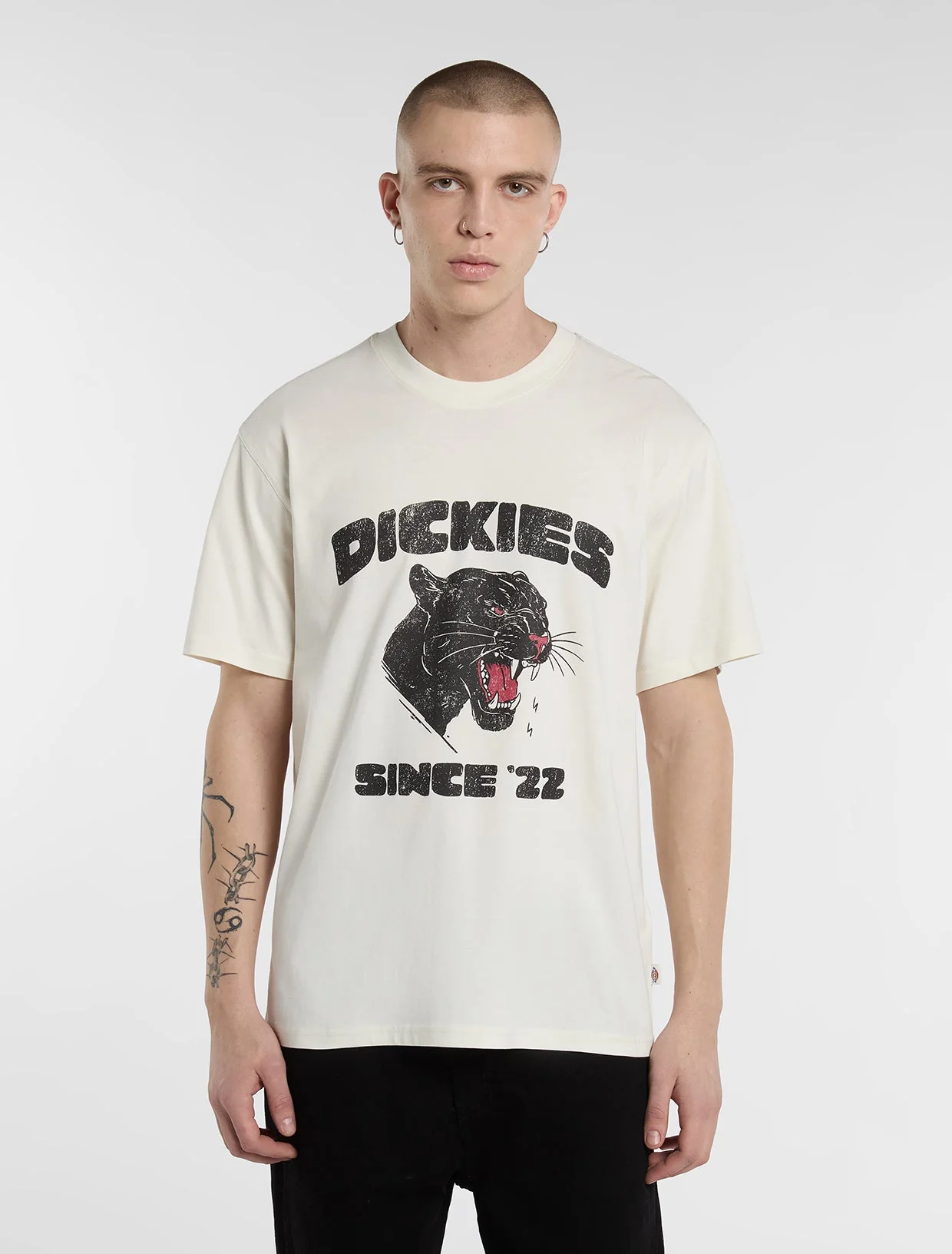 Camiseta de peso medio McDermitt - DICKIES