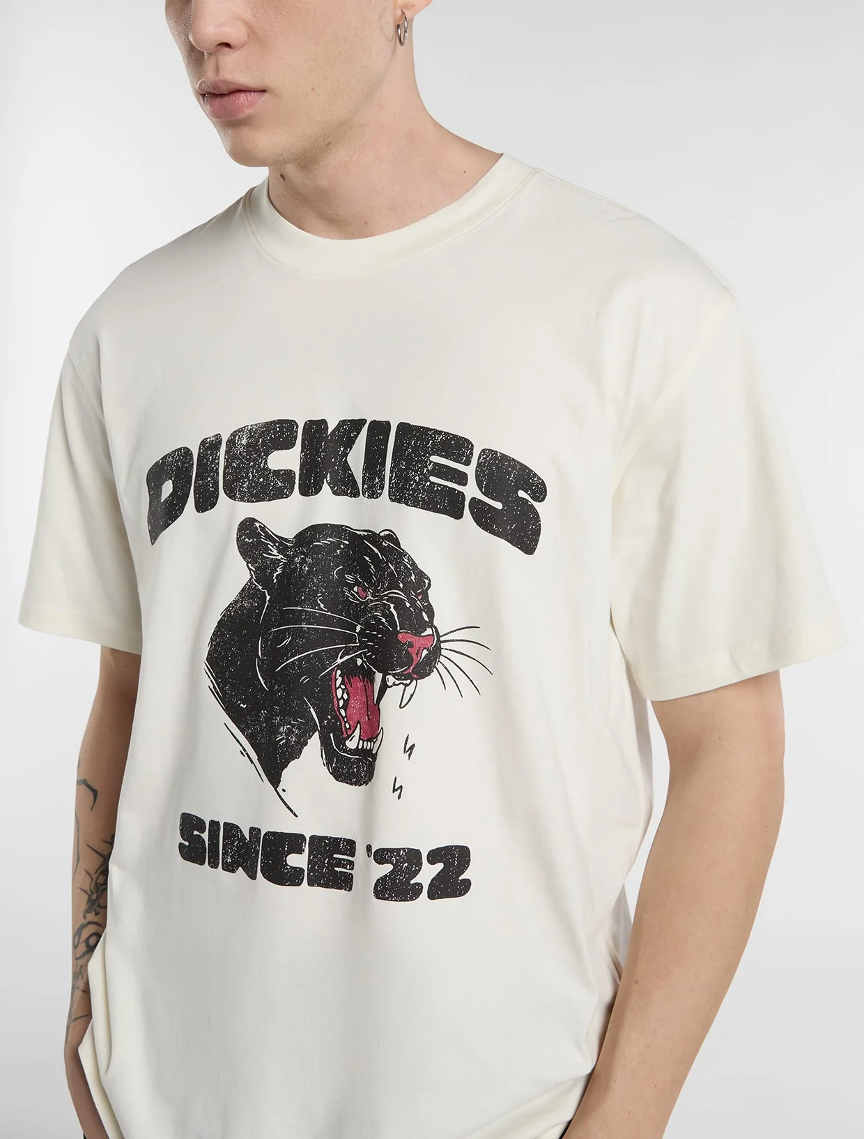Camiseta de peso medio McDermitt - DICKIES - Imagen 3